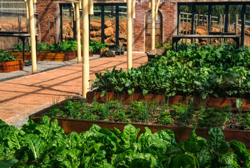 GREDICE ZA VRT I BAŠTU